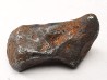 Météorite : SIDERITE IIAB de SIKHOTE ALIN, Russie