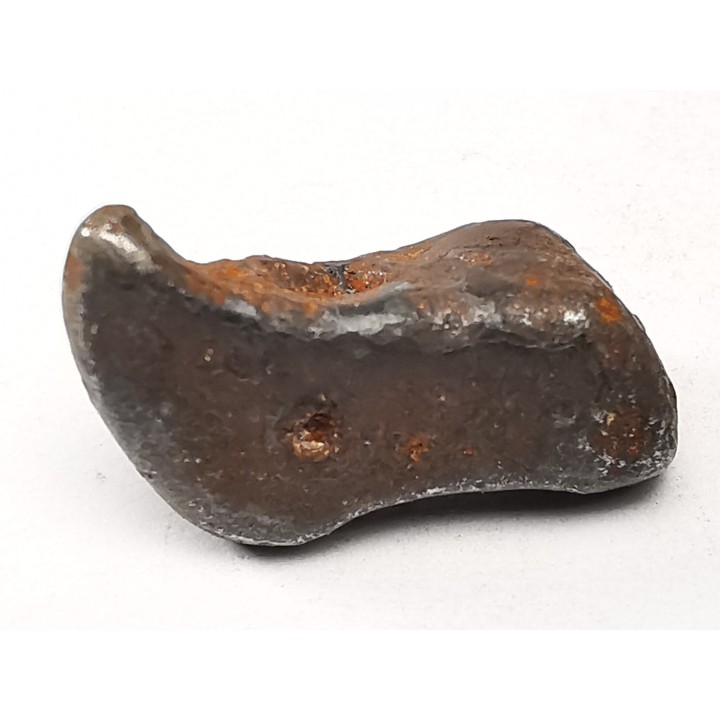 Météorite : SIDERITE IIAB de SIKHOTE ALIN, Russie