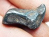Météorite : SIDERITE IIAB de SIKHOTE ALIN, Russie