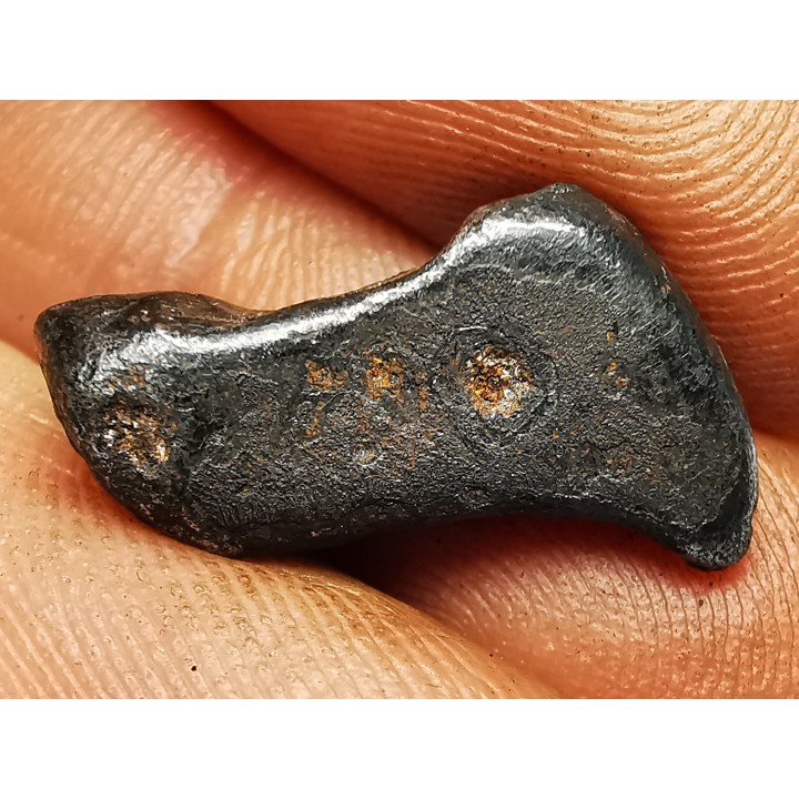 Météorite : SIDERITE IIAB de SIKHOTE ALIN, Russie