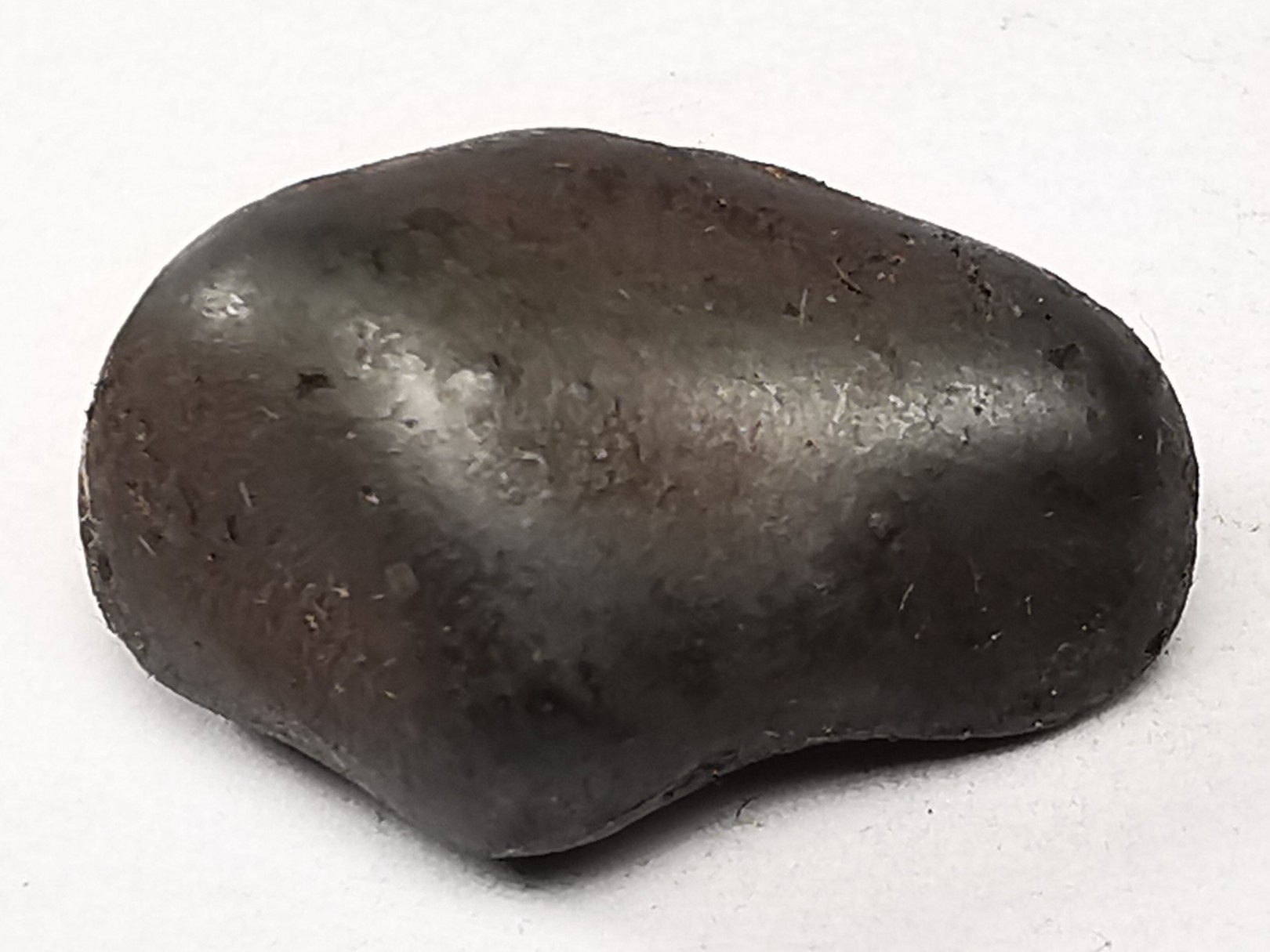 METEORITE: SIDERITE IIAB from SIKHOTE ALIN, Russia