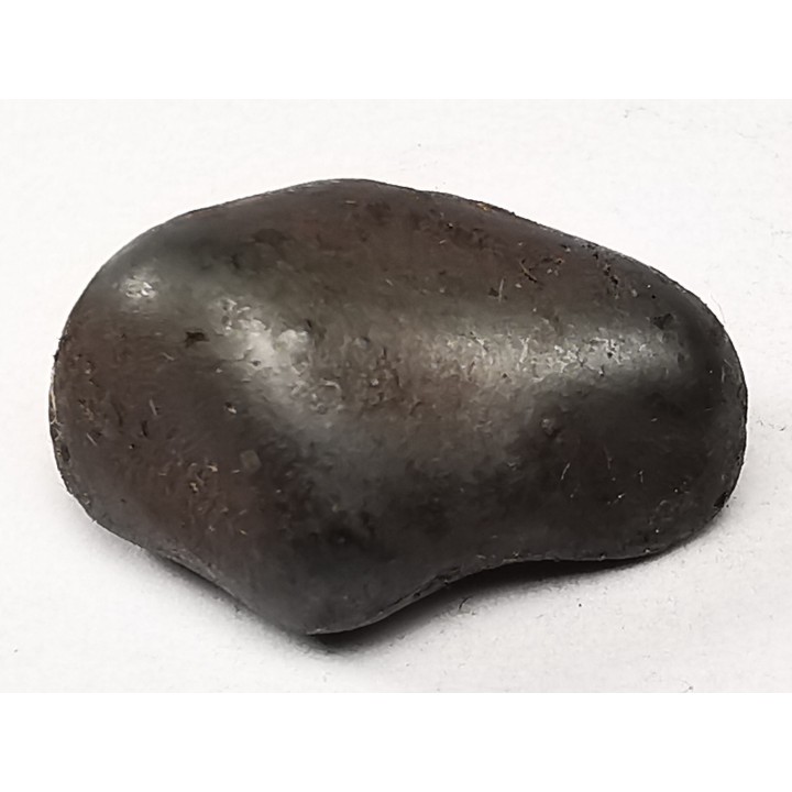 METEORITE: SIDERITE IIAB from SIKHOTE ALIN, Russia