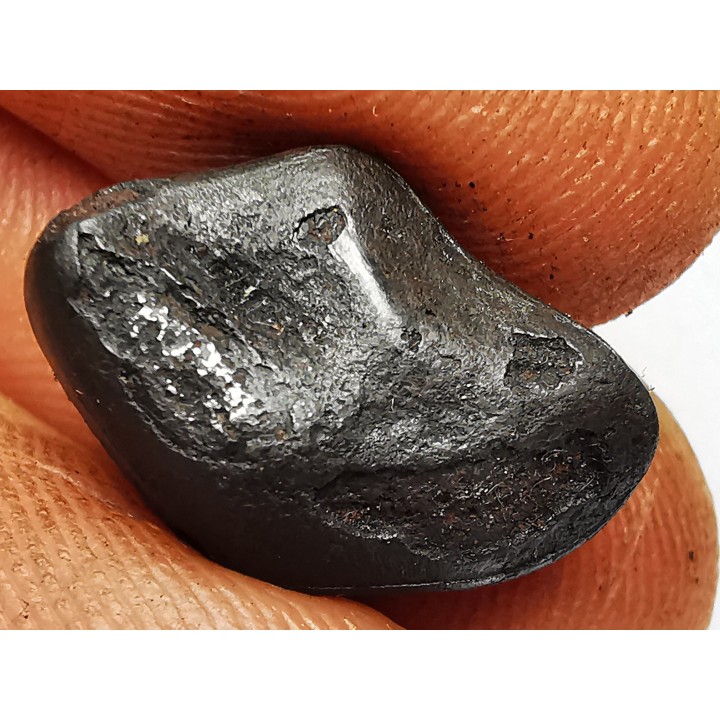 METEORITE: SIDERITE IIAB from SIKHOTE ALIN, Russia