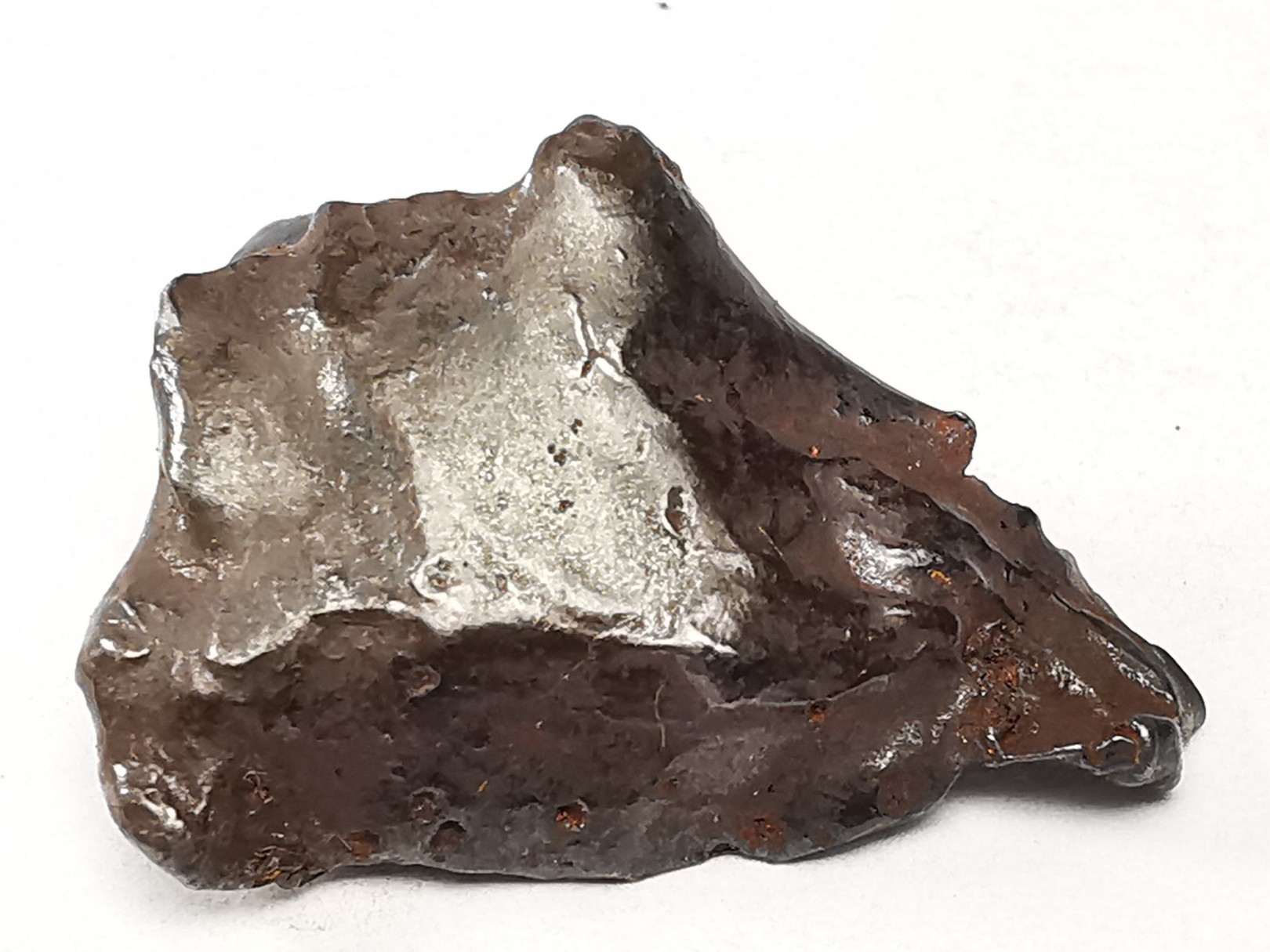 METEORITE: SIDERITE IIAB from SIKHOTE ALIN, Russia