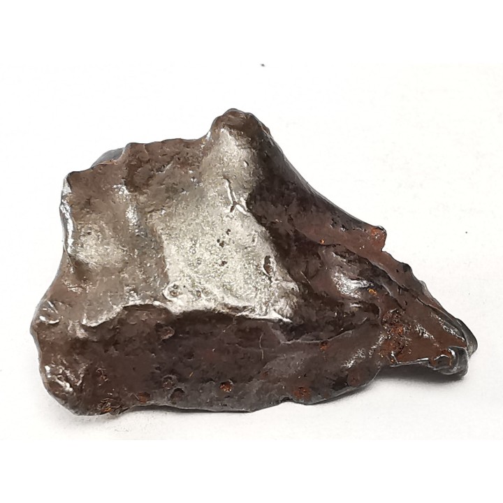 Météorite : SIDERITE IIAB de SIKHOTE ALIN, Russie