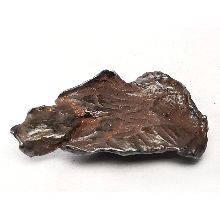 Météorite : SIDERITE IIAB de SIKHOTE ALIN, Russie