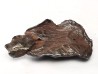 METEORITE: SIDERITE IIAB from SIKHOTE ALIN, Russia