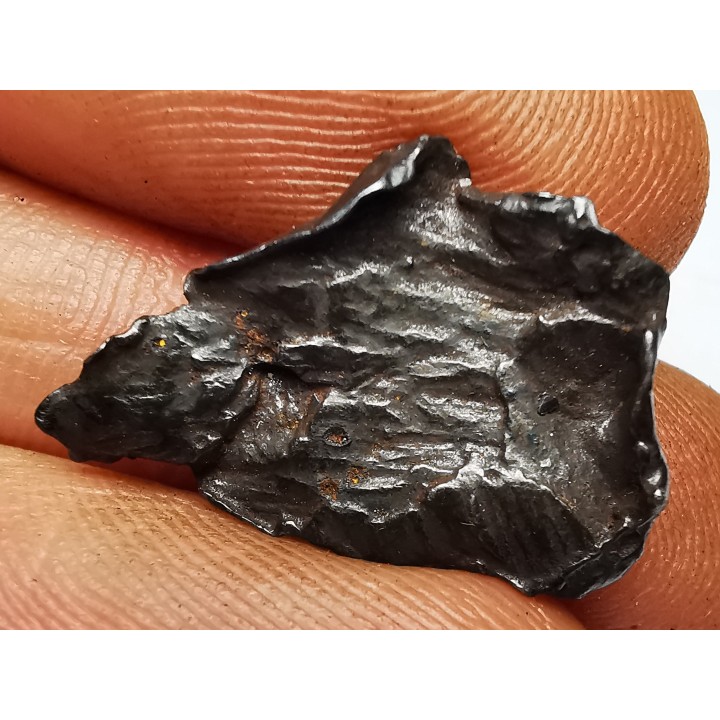 METEORITE: SIDERITE IIAB from SIKHOTE ALIN, Russia