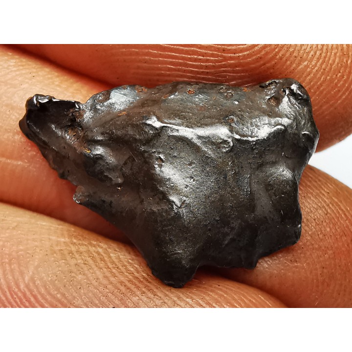Météorite : SIDERITE IIAB de SIKHOTE ALIN, Russie