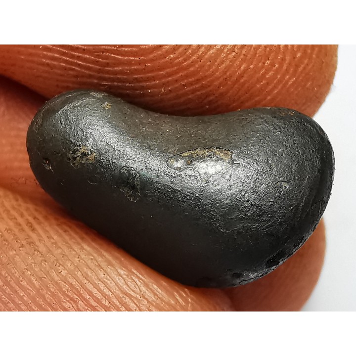 Météorite : SIDERITE IIAB de SIKHOTE ALIN, Russie