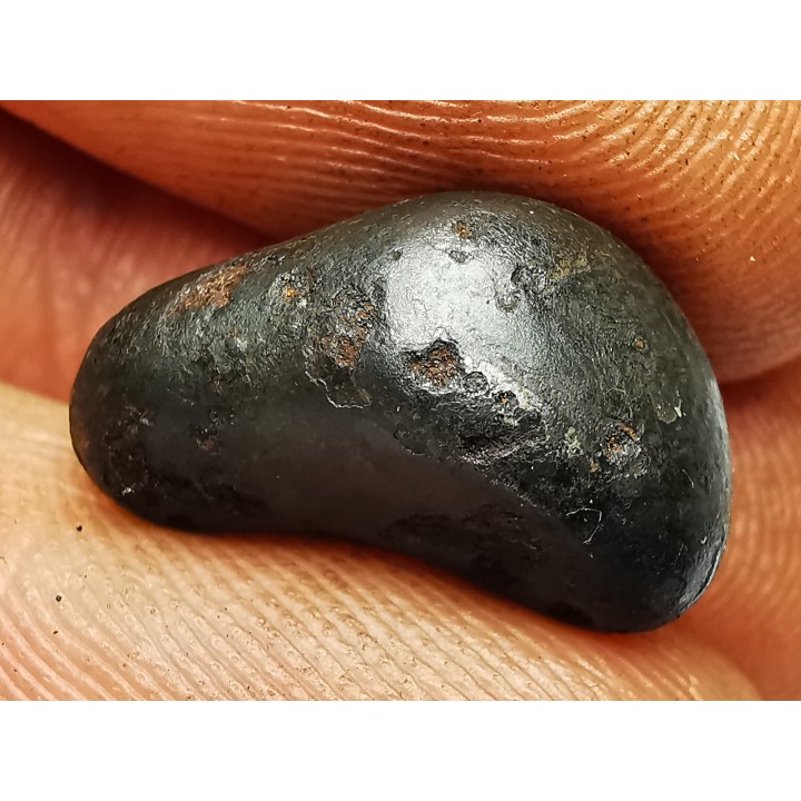 METEORITE: SIDERITE IIAB from SIKHOTE ALIN, Russia