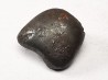Météorite : SIDERITE IIAB de SIKHOTE ALIN, Russie