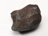 METEORITE: SIDERITE IIAB from SIKHOTE ALIN, Russia