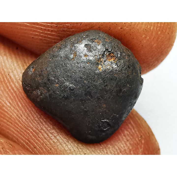 Météorite : SIDERITE IIAB de SIKHOTE ALIN, Russie