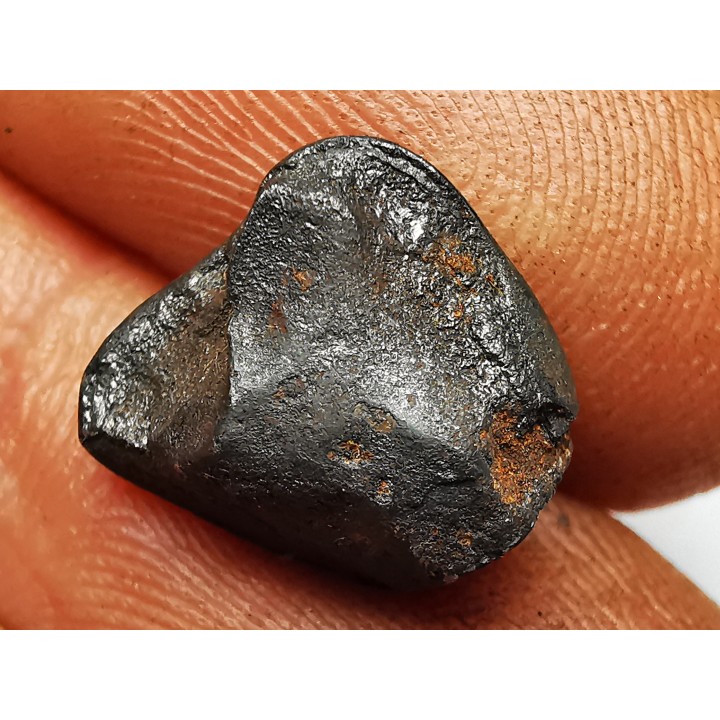 METEORITE: SIDERITE IIAB from SIKHOTE ALIN, Russia