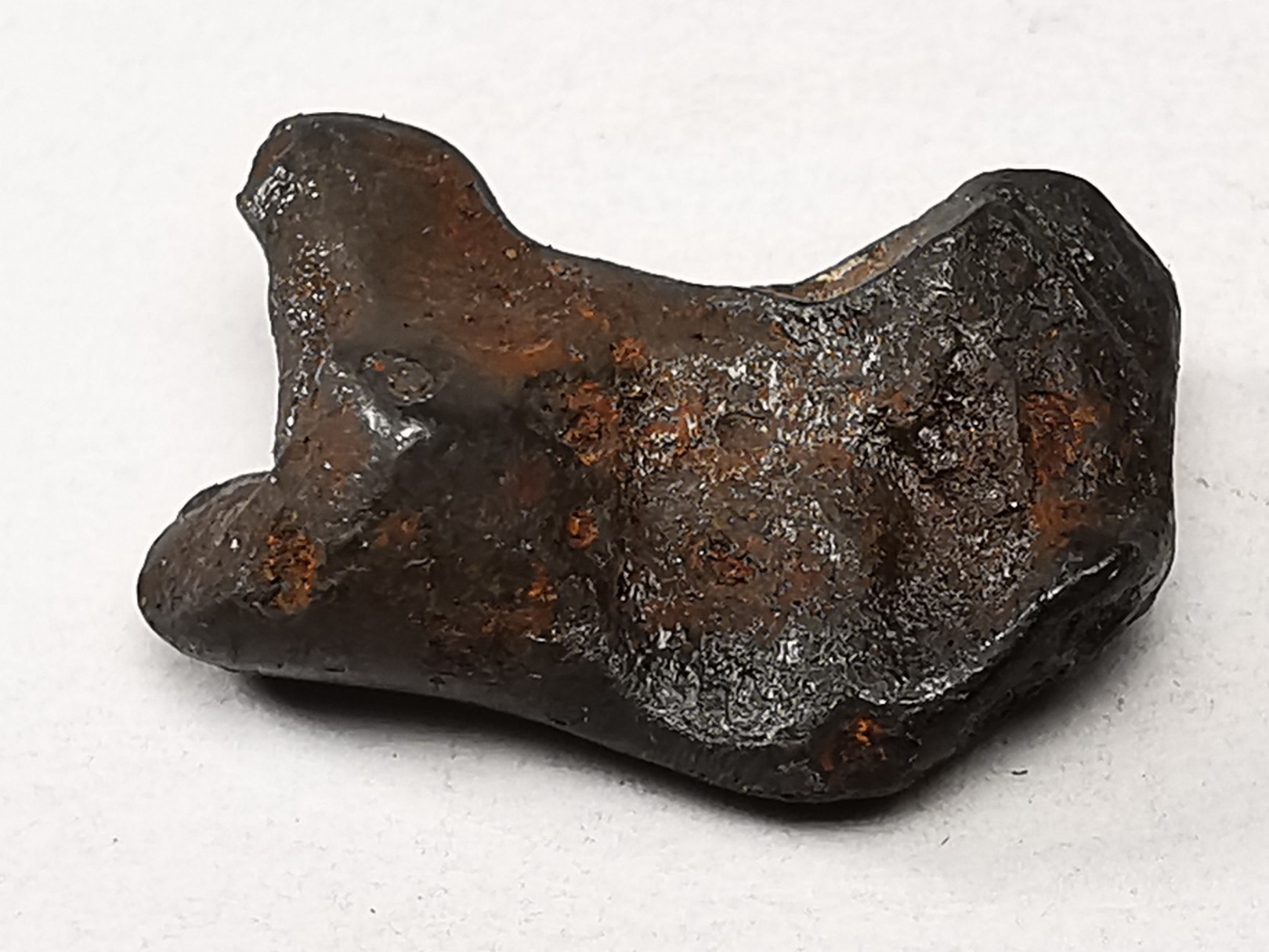 METEORITE: SIDERITE IIAB from SIKHOTE ALIN, Russia