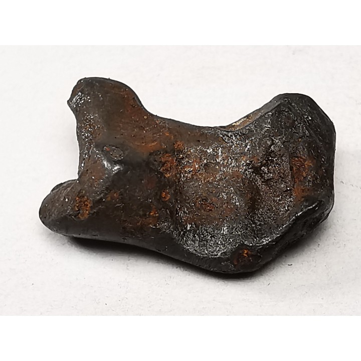 Météorite : SIDERITE IIAB de SIKHOTE ALIN, Russie