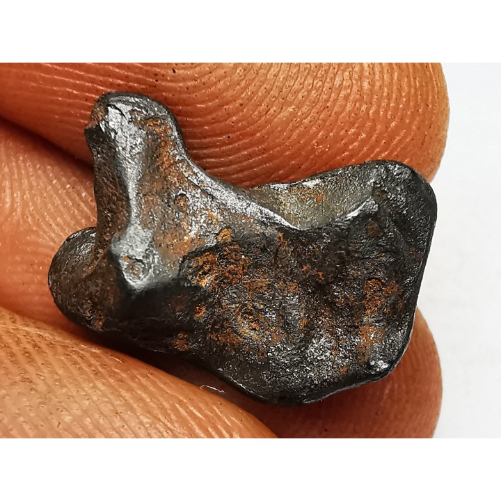 METEORITE: SIDERITE IIAB from SIKHOTE ALIN, Russia