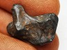 METEORITE: SIDERITE IIAB from SIKHOTE ALIN, Russia