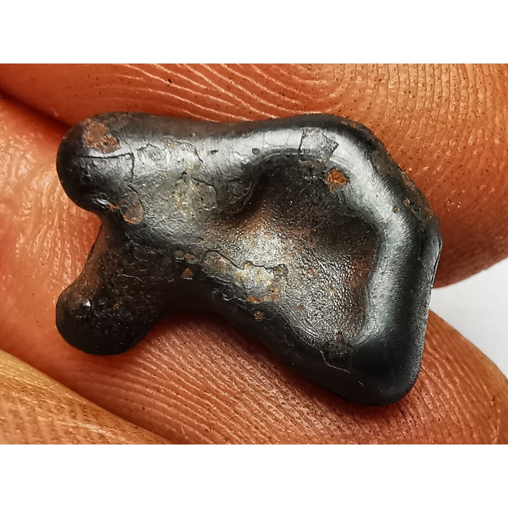 METEORITE: SIDERITE IIAB from SIKHOTE ALIN, Russia