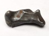 Météorite : SIDERITE IIAB de SIKHOTE ALIN, Russie