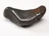 METEORITE: SIDERITE IIAB from SIKHOTE ALIN, Russia