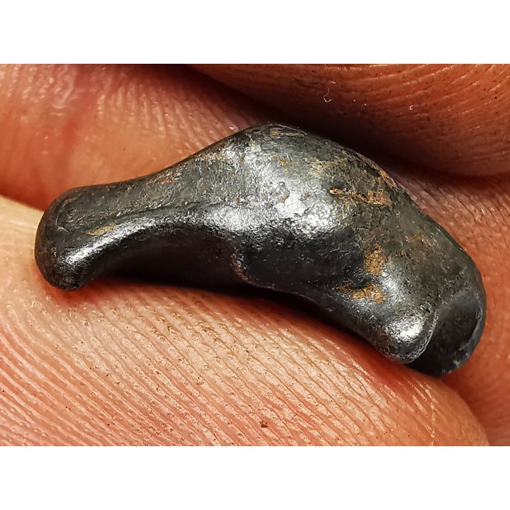 METEORITE: SIDERITE IIAB from SIKHOTE ALIN, Russia