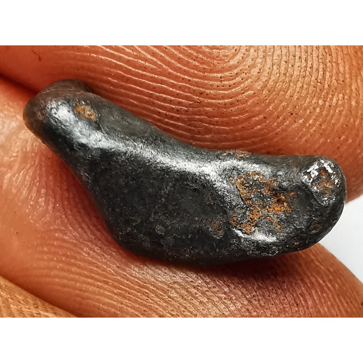 Météorite : SIDERITE IIAB de SIKHOTE ALIN, Russie