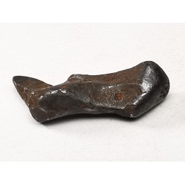 METEORITE: SIDERITE IIAB from SIKHOTE ALIN, Russia