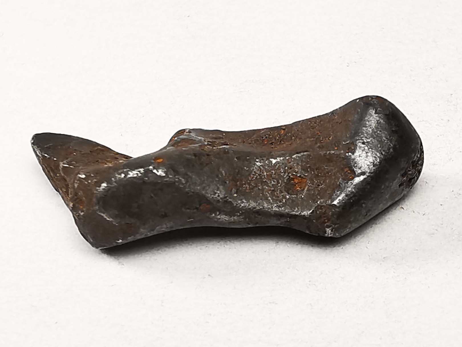 METEORITE: SIDERITE IIAB from SIKHOTE ALIN, Russia