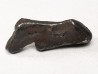 METEORITE: SIDERITE IIAB from SIKHOTE ALIN, Russia