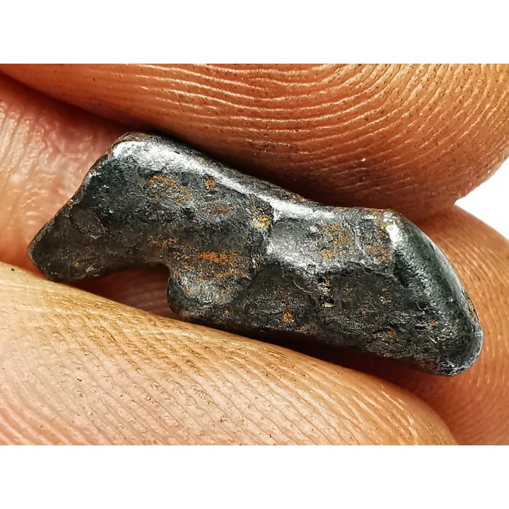 METEORITE: SIDERITE IIAB from SIKHOTE ALIN, Russia