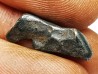 Météorite : SIDERITE IIAB de SIKHOTE ALIN, Russie
