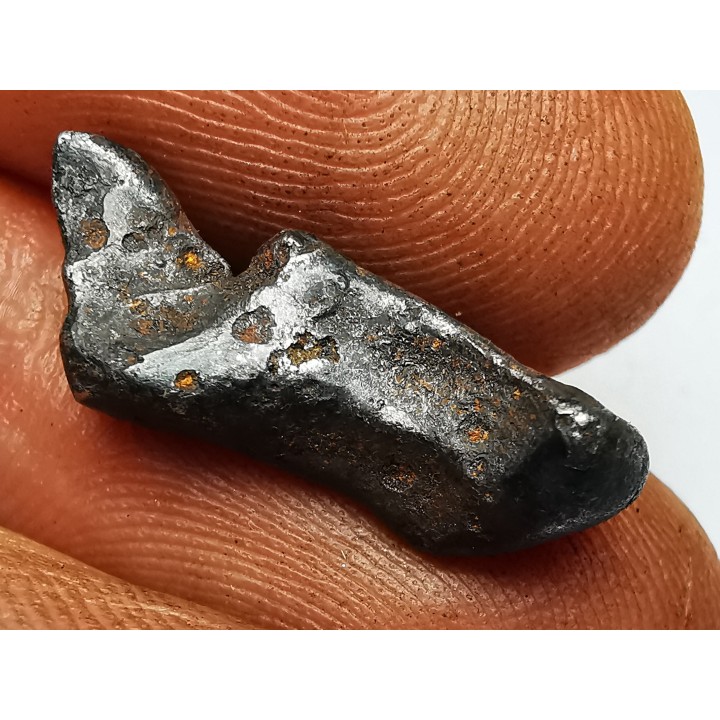 Météorite : SIDERITE IIAB de SIKHOTE ALIN, Russie