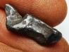 METEORITE: SIDERITE IIAB from SIKHOTE ALIN, Russia