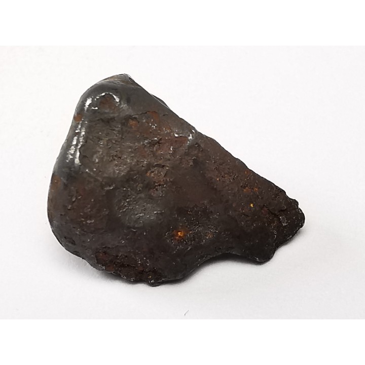 METEORITE: SIDERITE IIAB from SIKHOTE ALIN, Russia