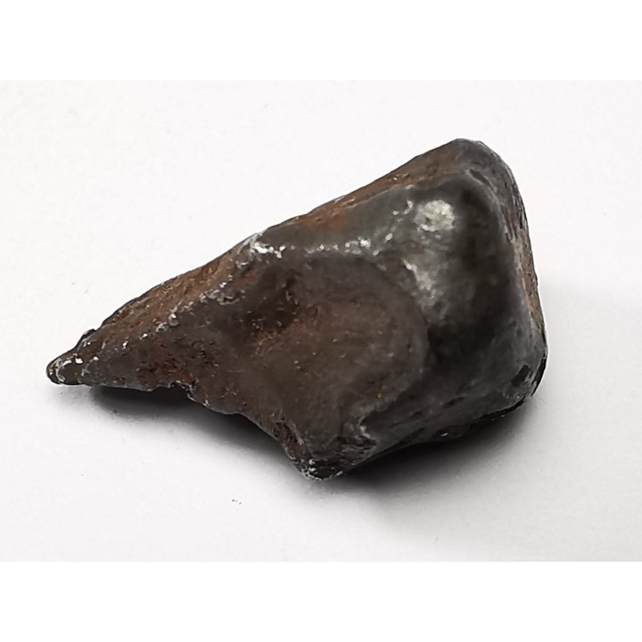 METEORITE: SIDERITE IIAB from SIKHOTE ALIN, Russia
