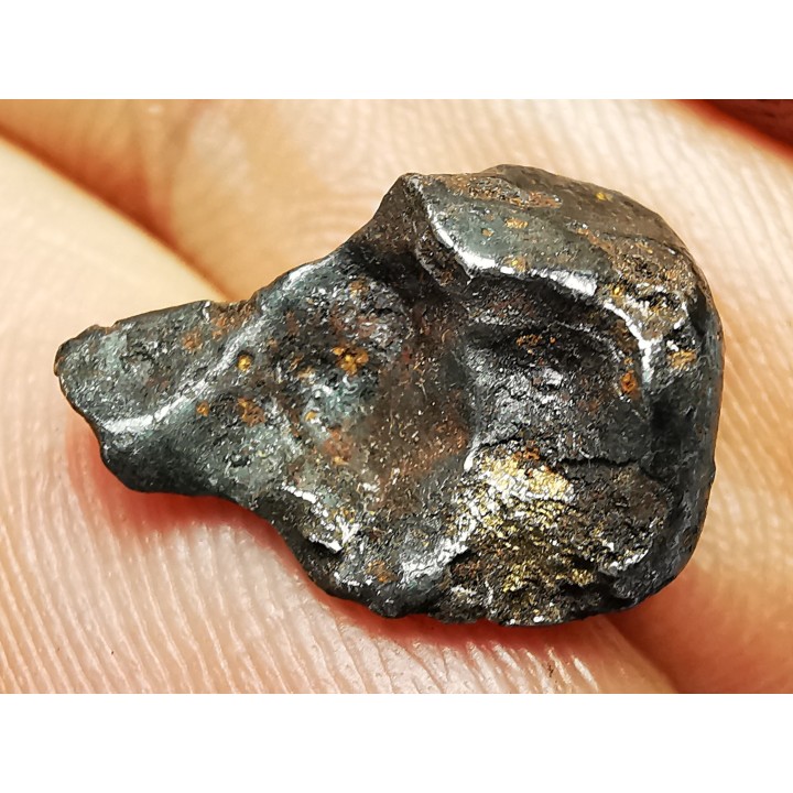 METEORITE: SIDERITE IIAB from SIKHOTE ALIN, Russia
