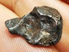 Météorite : SIDERITE IIAB de SIKHOTE ALIN, Russie