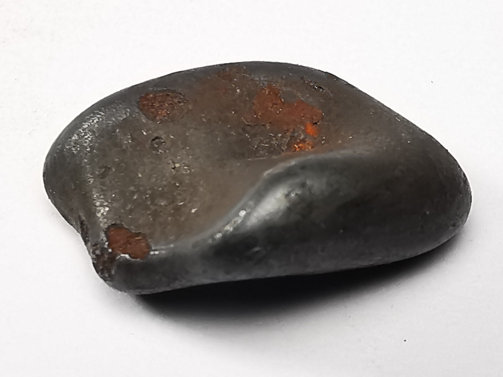 METEORITE: SIDERITE IIAB from SIKHOTE ALIN, Russia