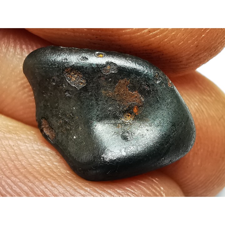METEORITE: SIDERITE IIAB from SIKHOTE ALIN, Russia