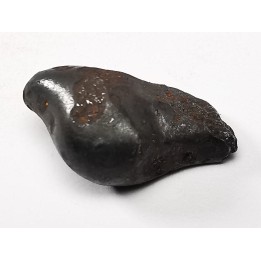 METEORITE: SIDERITE IIAB from SIKHOTE ALIN, Russia