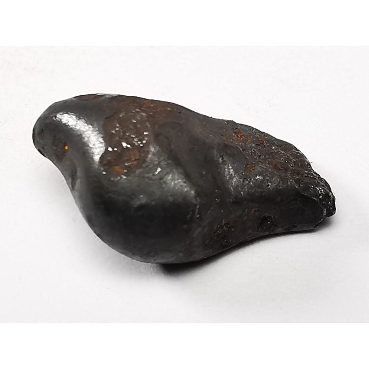 METEORITE: SIDERITE IIAB from SIKHOTE ALIN, Russia