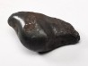 METEORITE: SIDERITE IIAB from SIKHOTE ALIN, Russia