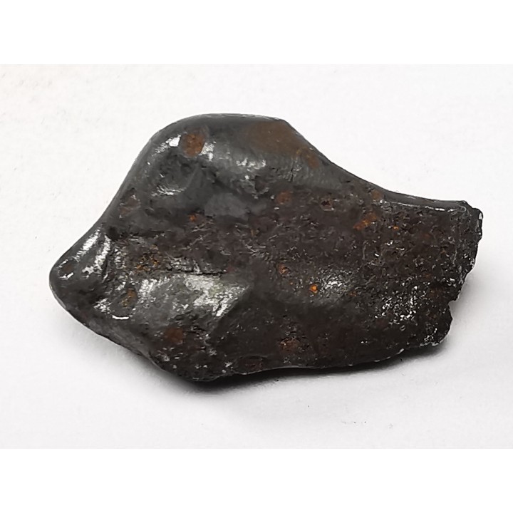 METEORITE: SIDERITE IIAB from SIKHOTE ALIN, Russia