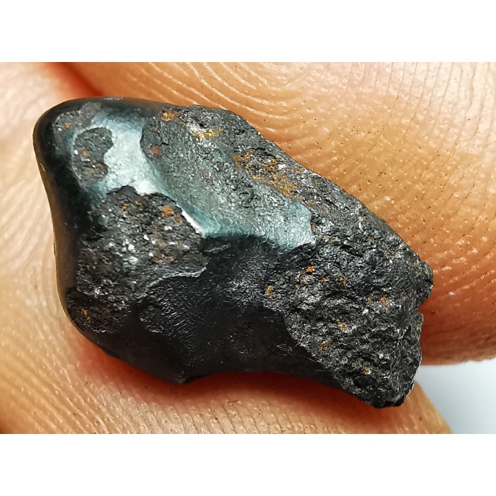 Météorite : SIDERITE IIAB de SIKHOTE ALIN, Russie