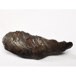 Météorite : SIDERITE IIAB de SIKHOTE ALIN, Russie