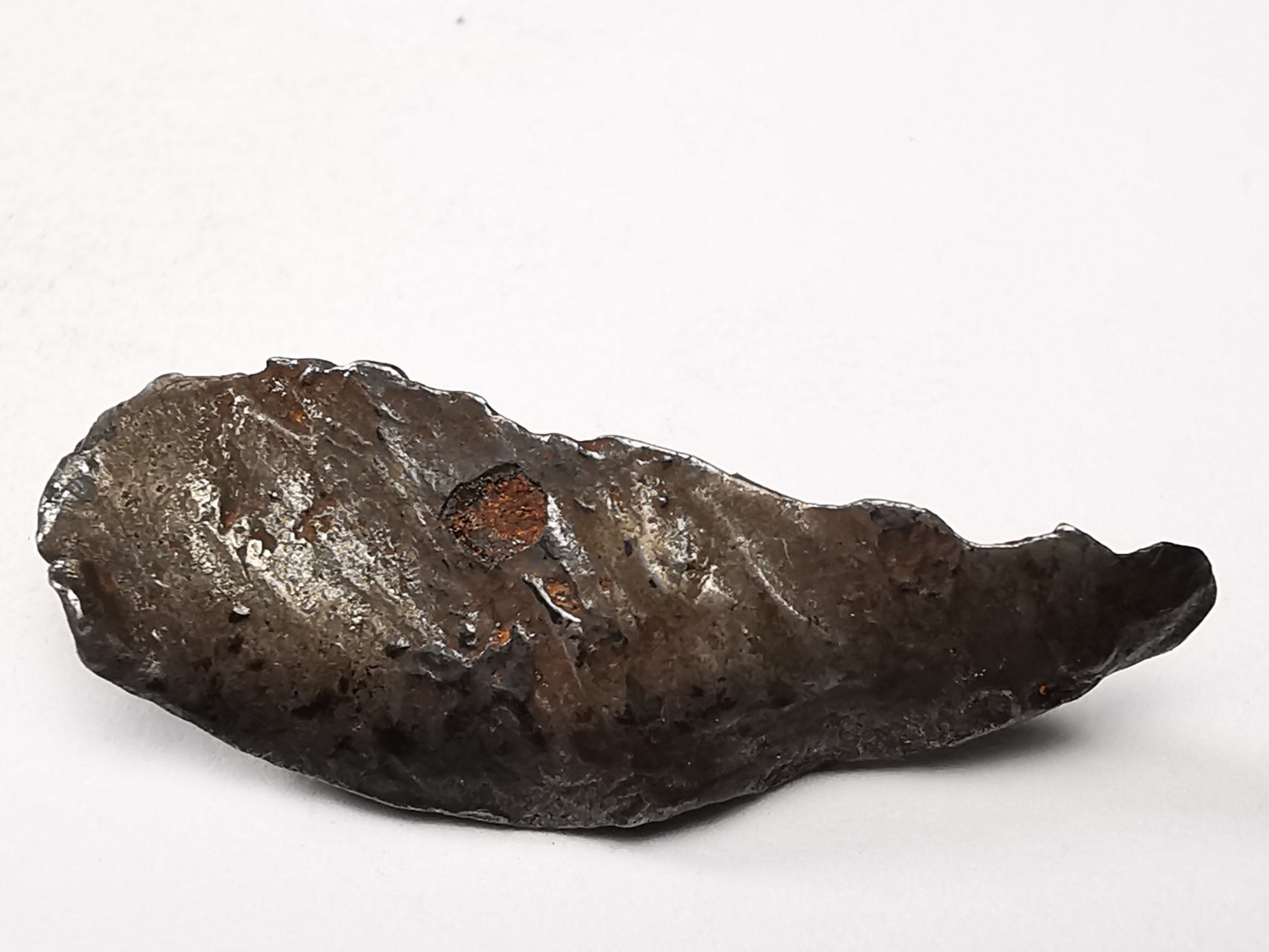 METEORITE: SIDERITE IIAB from SIKHOTE ALIN, Russia
