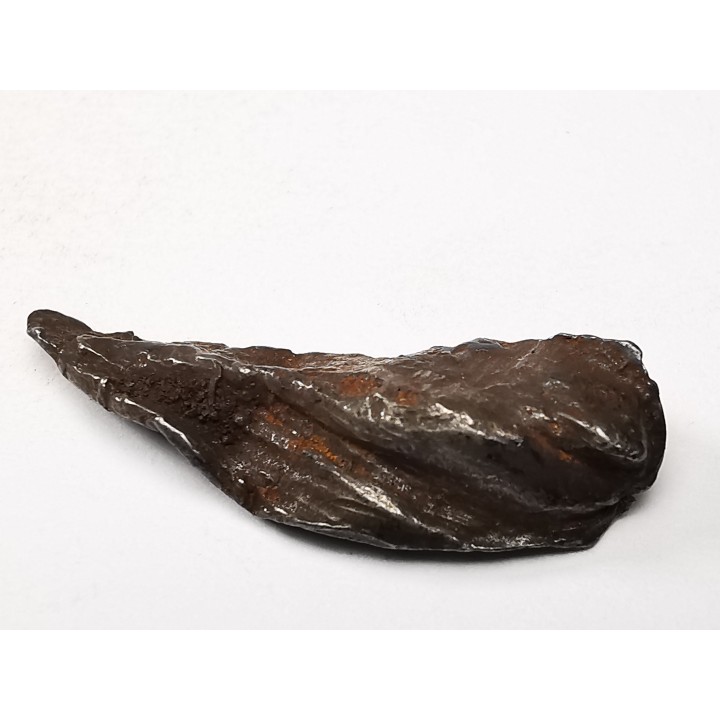 METEORITE: SIDERITE IIAB from SIKHOTE ALIN, Russia