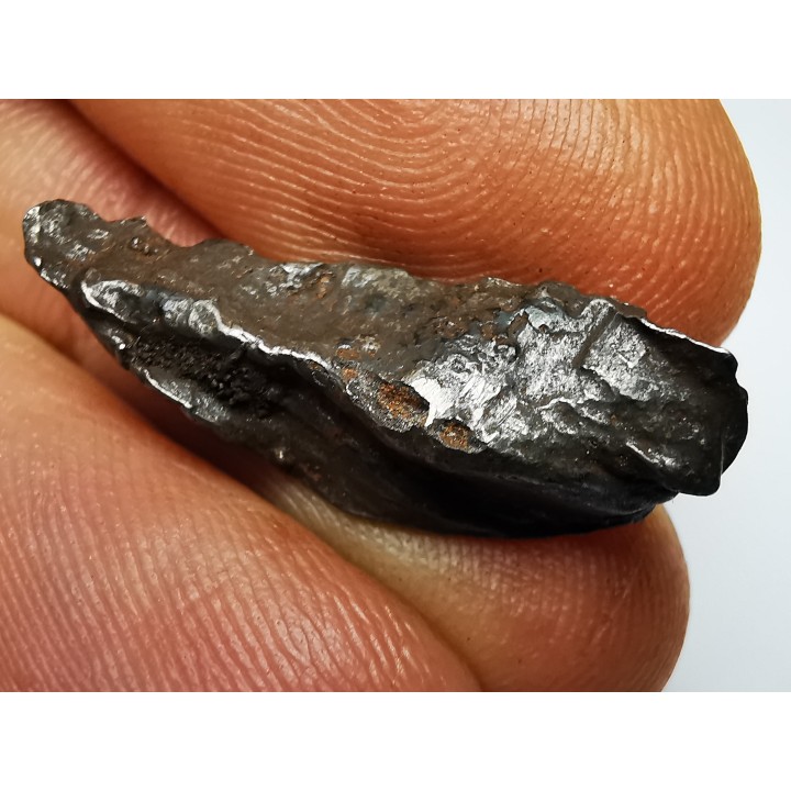 Météorite : SIDERITE IIAB de SIKHOTE ALIN, Russie